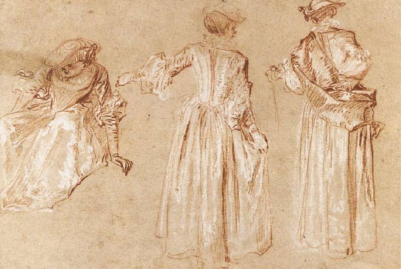WATTEAU, Antoine Three Studies of a Lady with a Hat Germany oil painting art